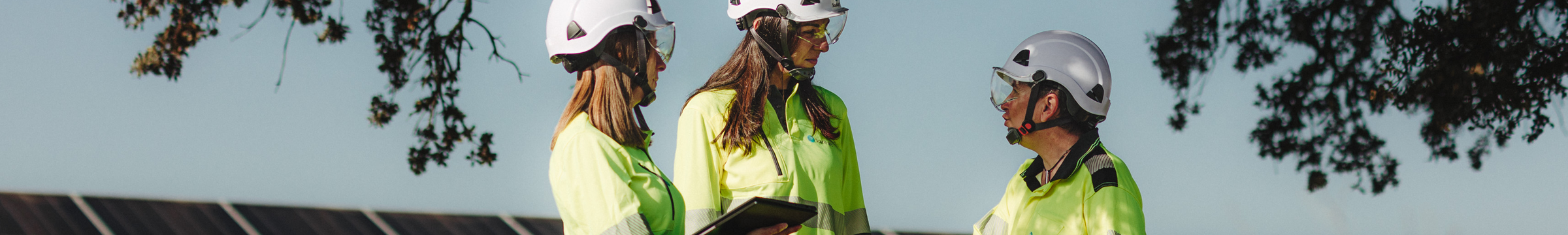 Solar panels and grid