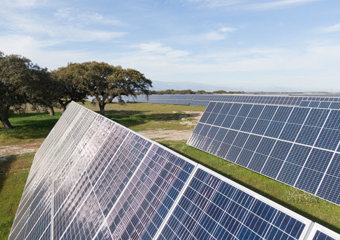 solar panels in a field